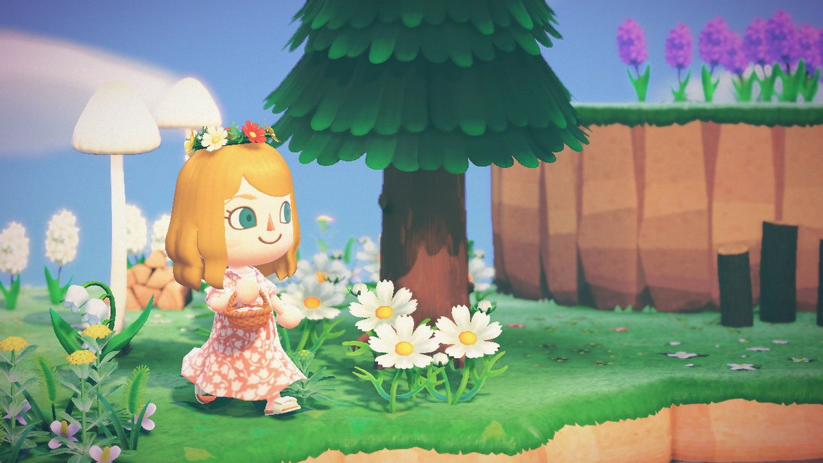 SummersetApril's tweet photo. summer mush girl #AnimalCrossing #ACNH #NintendoSwitch https://t.co/zysU6sxAkJ