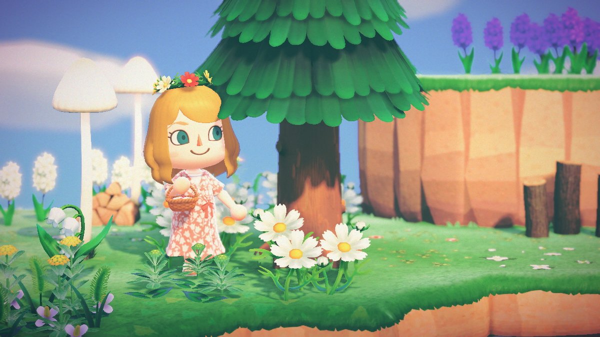 SummersetApril's tweet photo. summer mush girl #AnimalCrossing #ACNH #NintendoSwitch https://t.co/zysU6sxAkJ