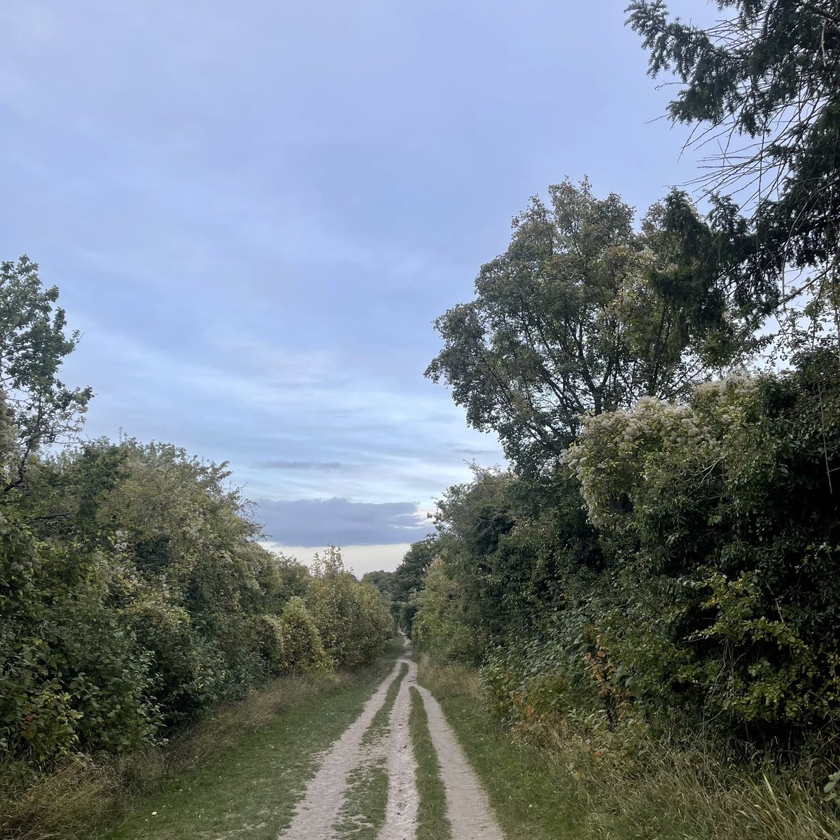jredden's tweet photo. 7km on a cool evening. Plus a little rain to log my spirits at the end of the run.
.
Felt sluggish tonight.
.
Beautiful views to cheer me up. Including my gear check (equipment Iโll be using in Alaska
.
Happy now.
.
#7KMRun #Oxfordshire #CrossCountryRunning #Chinnor https://t.co/ObB14fCrhP