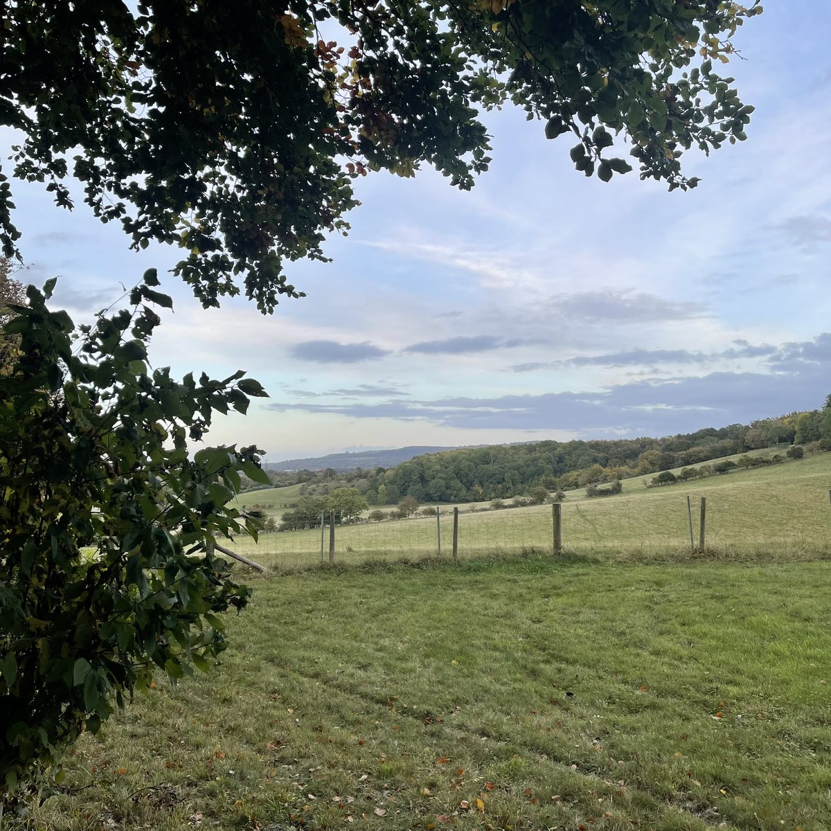 jredden's tweet photo. 7km on a cool evening. Plus a little rain to log my spirits at the end of the run.
.
Felt sluggish tonight.
.
Beautiful views to cheer me up. Including my gear check (equipment Iโll be using in Alaska
.
Happy now.
.
#7KMRun #Oxfordshire #CrossCountryRunning #Chinnor https://t.co/ObB14fCrhP