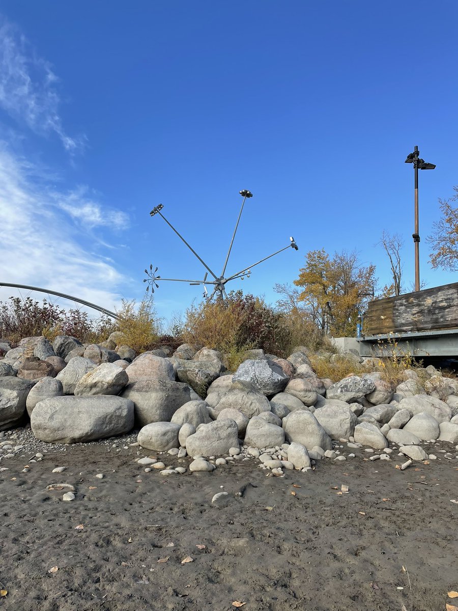 Tasha Roa tweet media