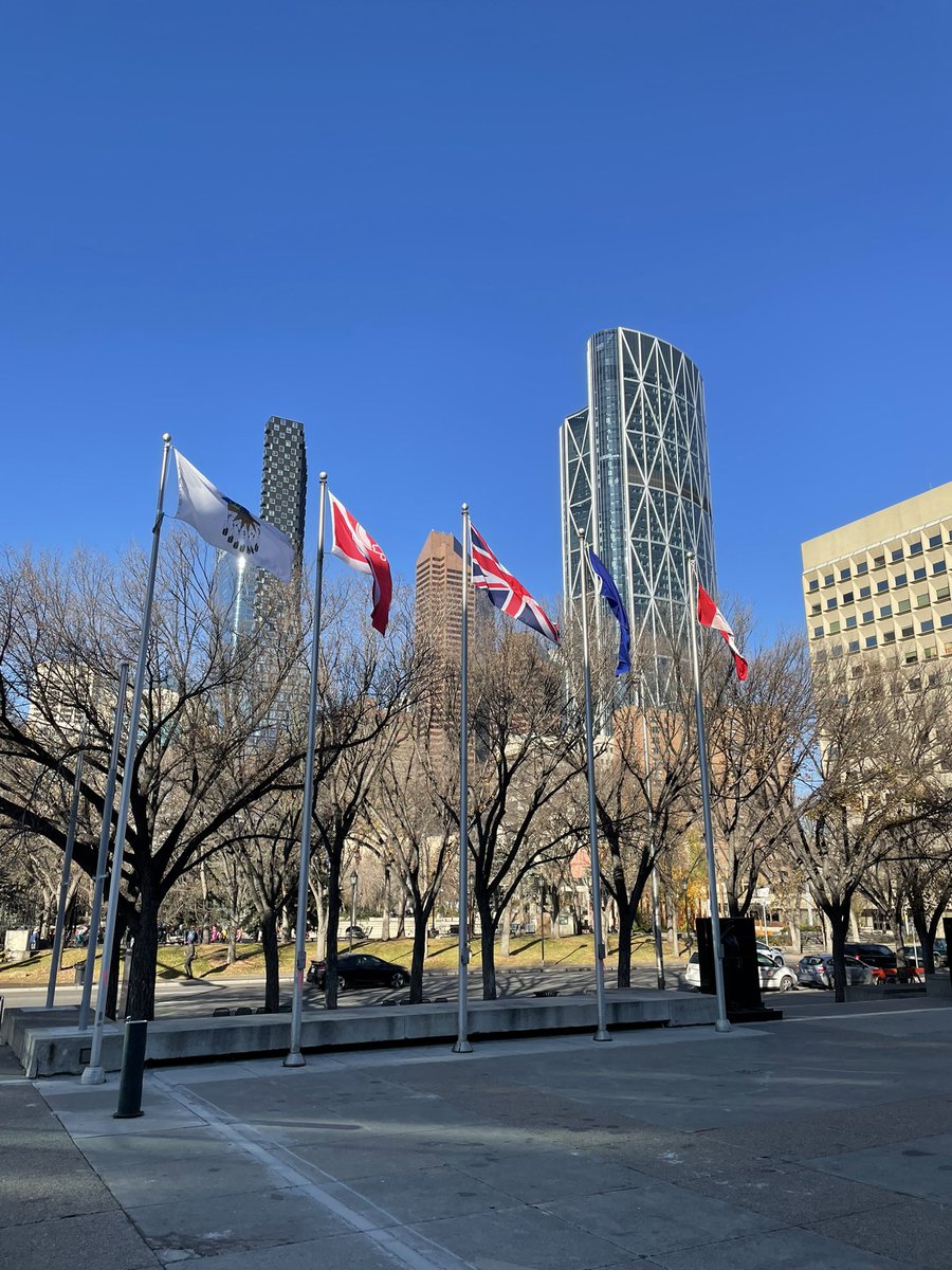 Tasha Roa tweet media