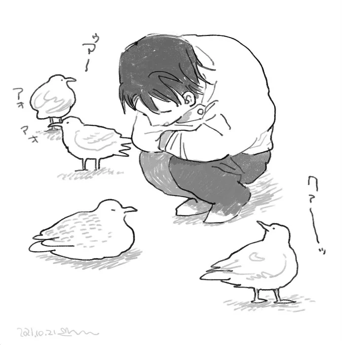 kamome 