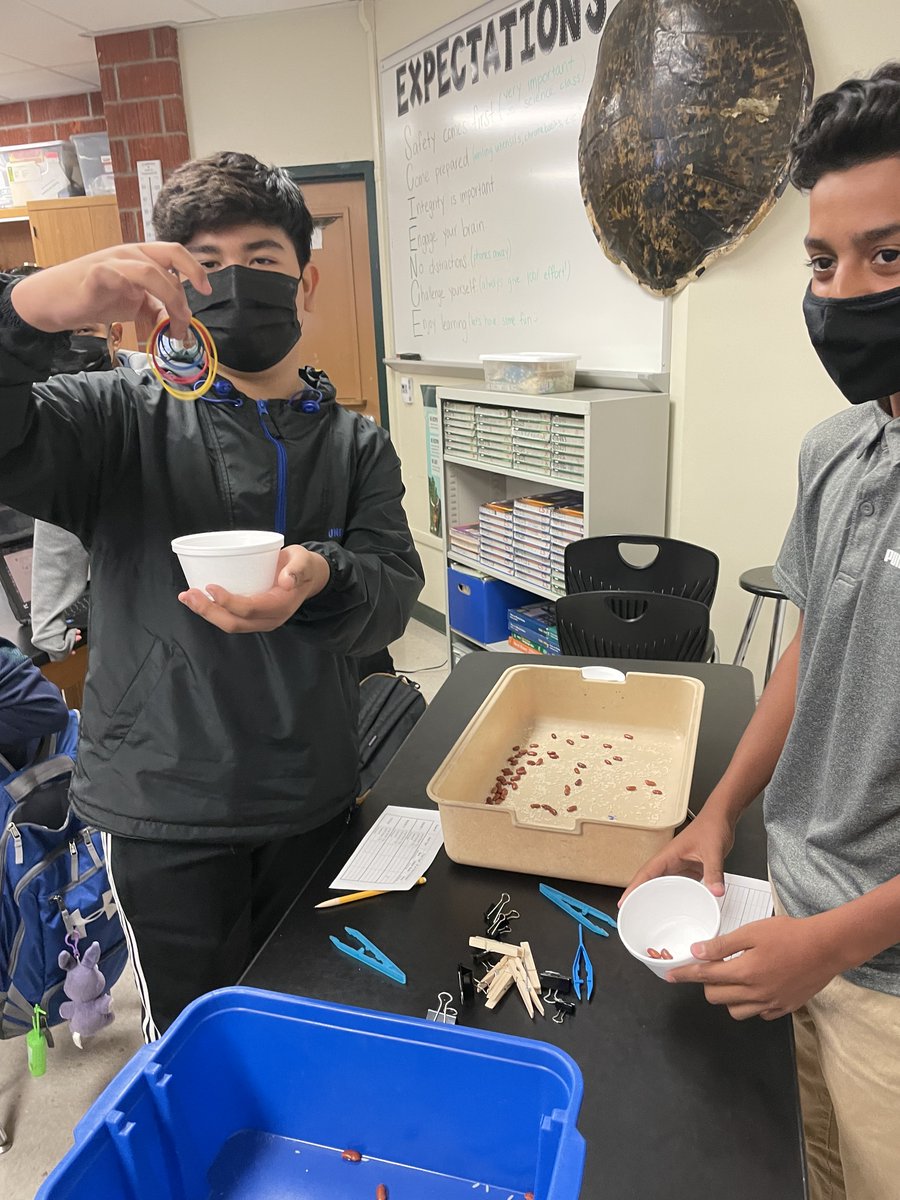 Natural selection lab with Ms. Underdown's 8th graders.

#ProudToBePUSD #DisciplinaryLiteracy