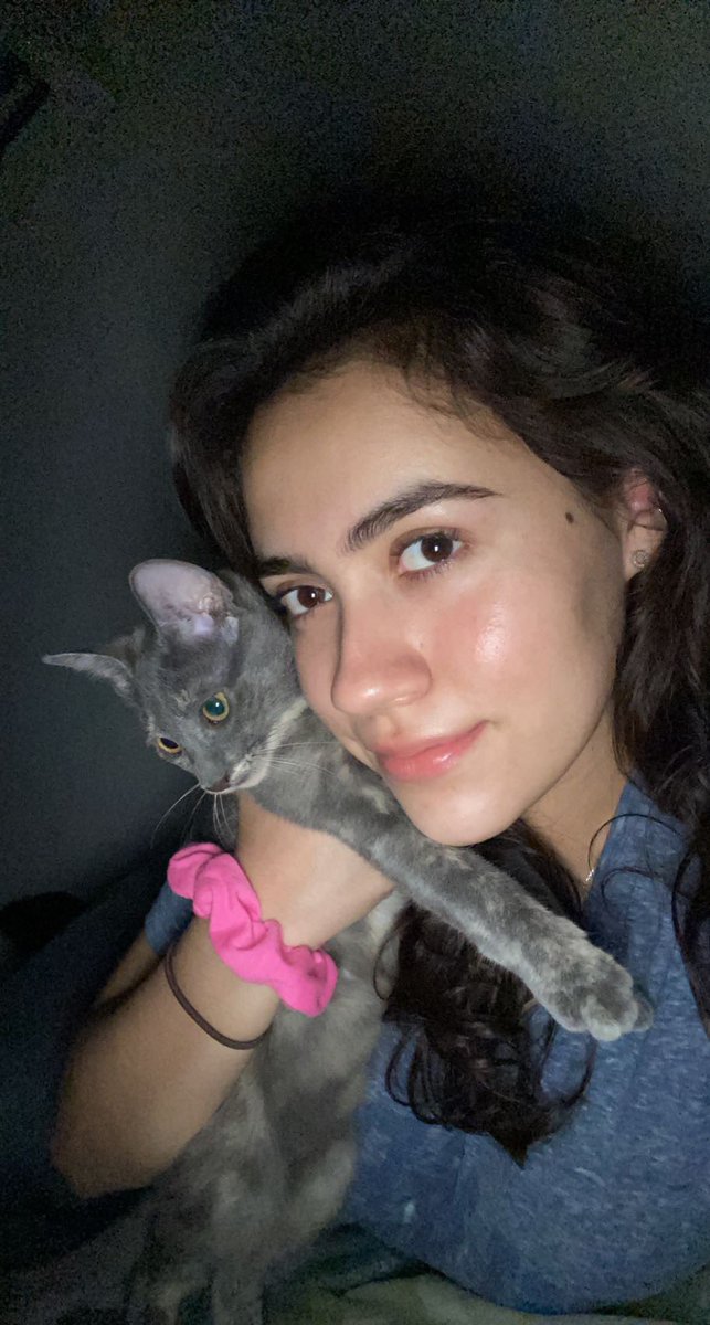 DianaEncisoV's tweet photo. Te amaré por siempre mi bebe preciosa 💖✨ descansa y juega con todos los michis del cielo de los michis 😭💖 https://t.co/1Kmch2HnYn