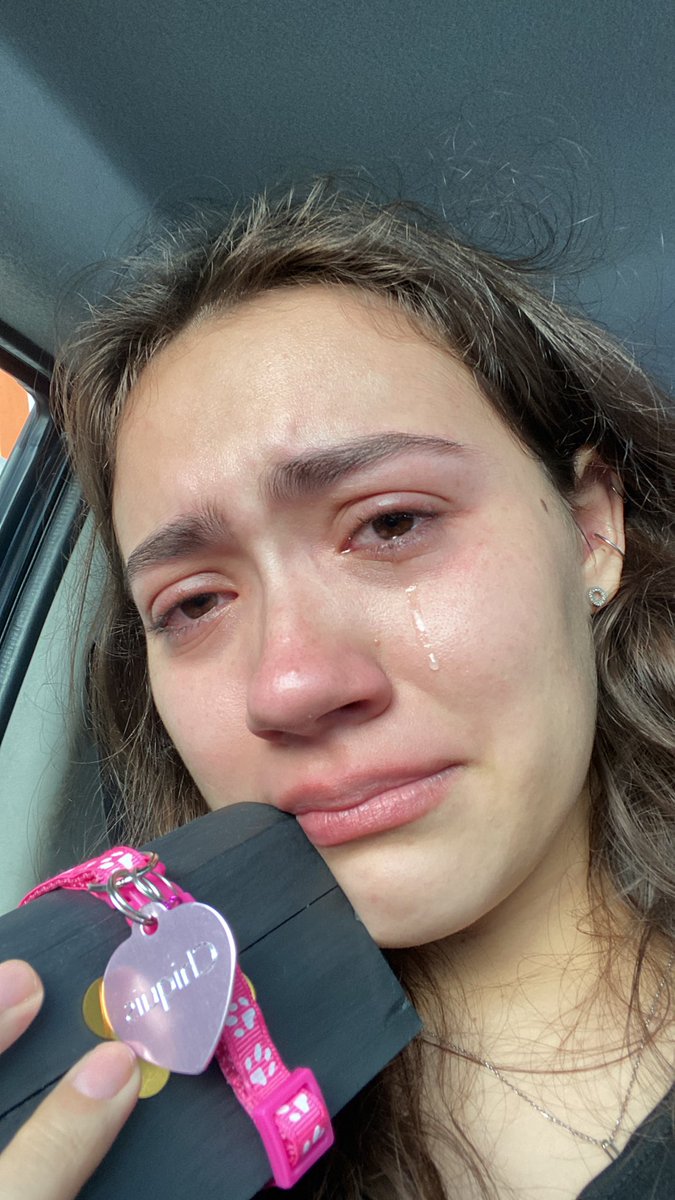 DianaEncisoV's tweet photo. Te amaré por siempre mi bebe preciosa 💖✨ descansa y juega con todos los michis del cielo de los michis 😭💖 https://t.co/1Kmch2HnYn