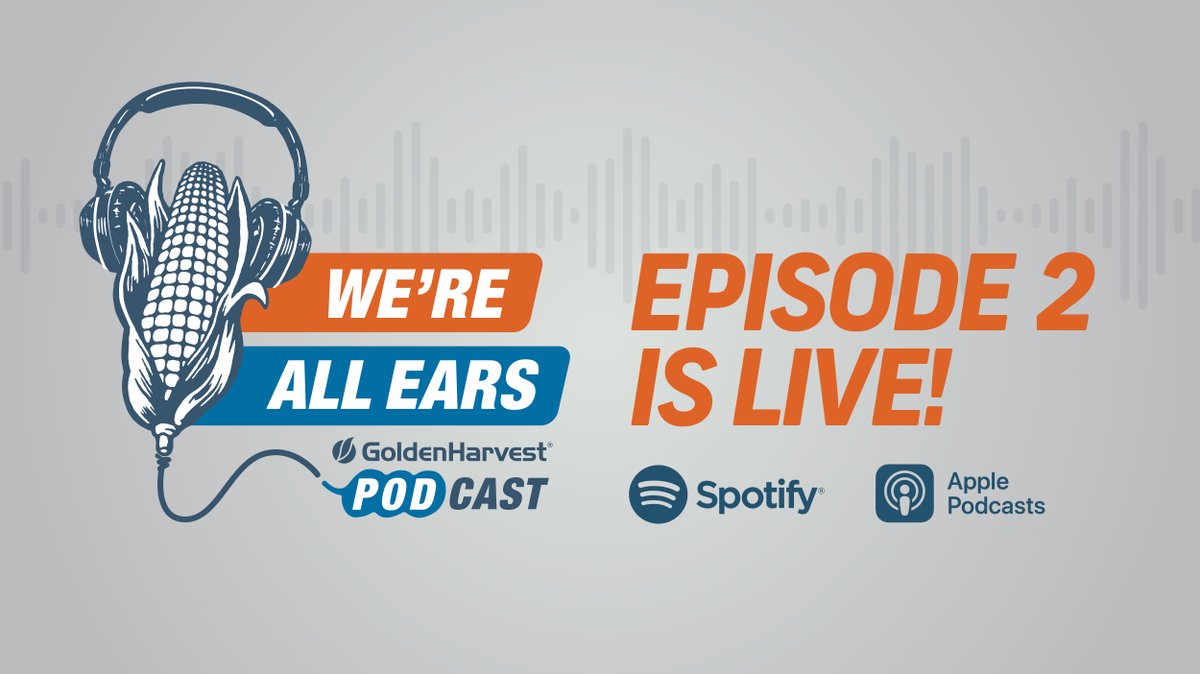 GldnHarvest's tweet image. #WereAllEars Episode 2 is LIVE! Join our host, Carah Hart, and Syngenta leaders as they discuss the current state of ag markets, policy and trade, and how each will impact harvest and the 2022 season. ow.ly/gzeg50GuMf2