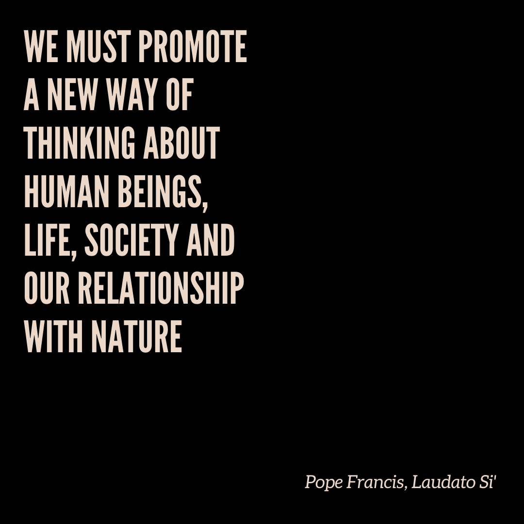 overcomsumption's tweet photo. "We must promote a new way of thinking about human beings, life, society and our relationship with nature" -Pope Francis, Laudato Si https://t.co/HPltsNhwRy