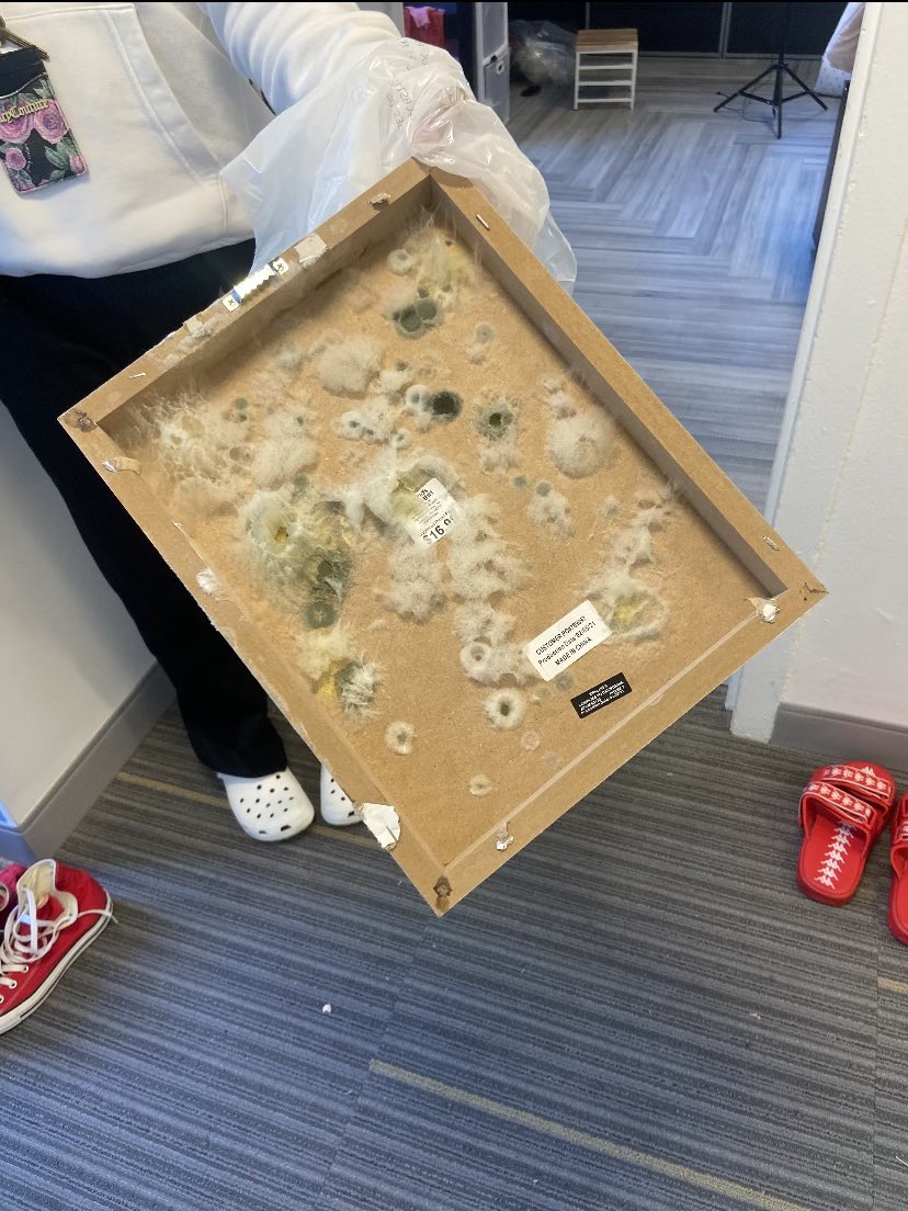 JMatter_TV's tweet photo. NEW: Getting ready to go live at 10pm and another student walks by and asks us if we’re reporting on the mold problems at @HowardU - she then sends me these photos from a mold-covered picture frame in her dorm at the Quadrangle. @fox5dc #BlackburnTakeover https://t.co/nmbOJLuL4E
