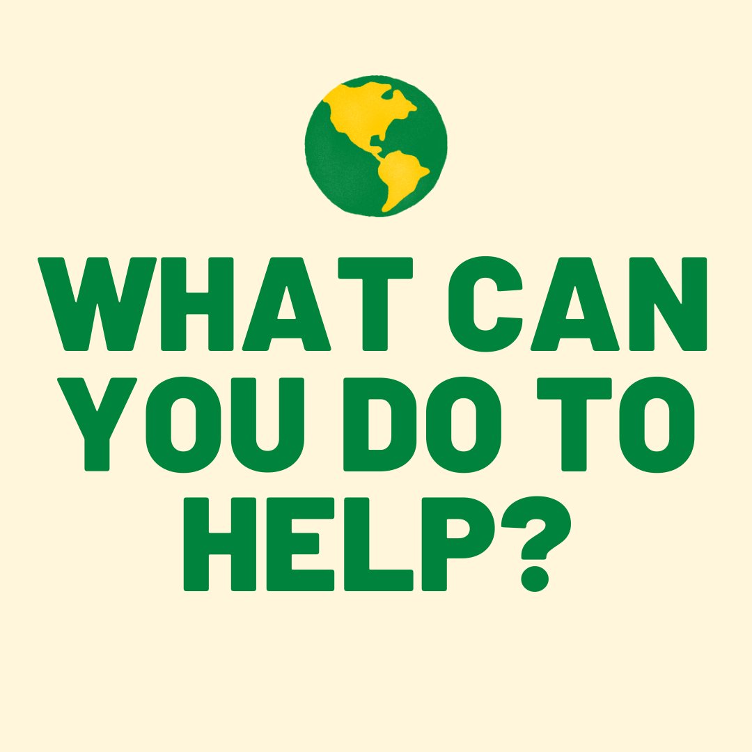 overcomsumption's tweet photo. What can you do to help? A thread: https://t.co/5UZWbs65E1