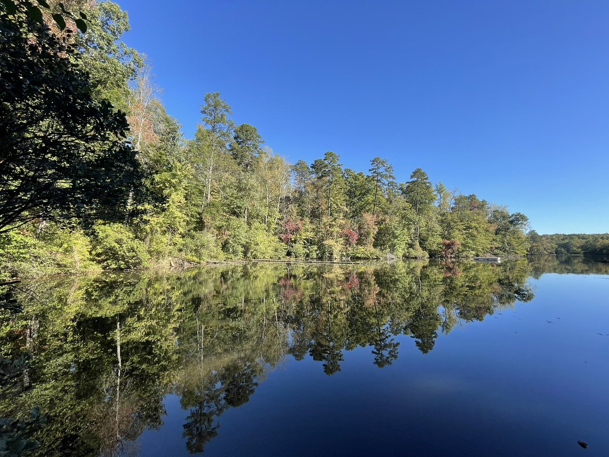 marianariosrmz1's tweet image. The field trip to Paris Mountain State Park was a great experience. Going inside a creek with boots in search of living organisms was super fun. 

The feeling of floating as we walked inside the water was an unexpected bonus to my experience. 🌟
