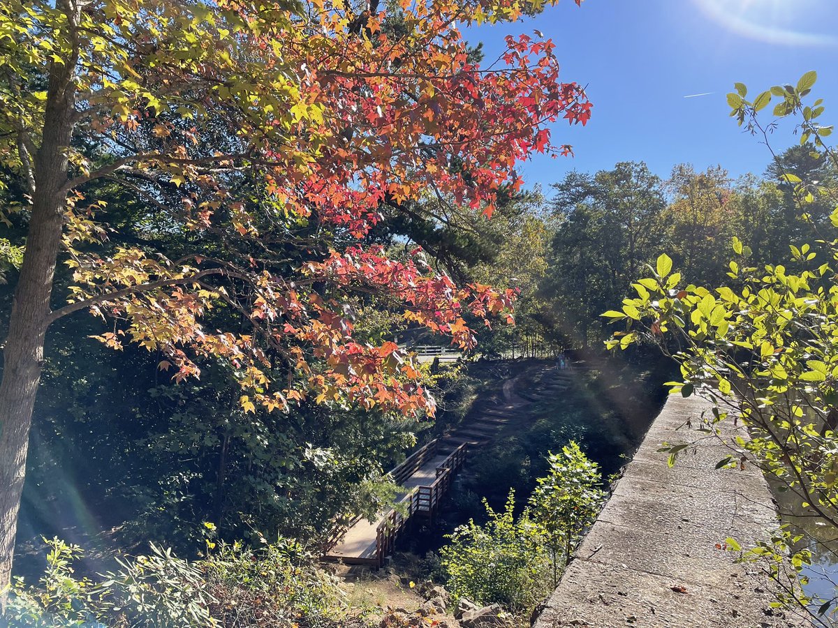 marianariosrmz1's tweet image. The field trip to Paris Mountain State Park was a great experience. Going inside a creek with boots in search of living organisms was super fun. 

The feeling of floating as we walked inside the water was an unexpected bonus to my experience. 🌟
