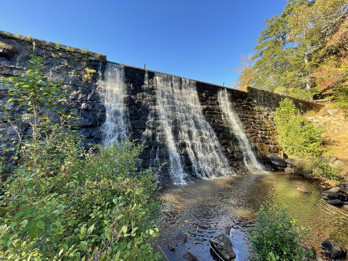 marianariosrmz1's tweet image. The field trip to Paris Mountain State Park was a great experience. Going inside a creek with boots in search of living organisms was super fun. 

The feeling of floating as we walked inside the water was an unexpected bonus to my experience. 🌟