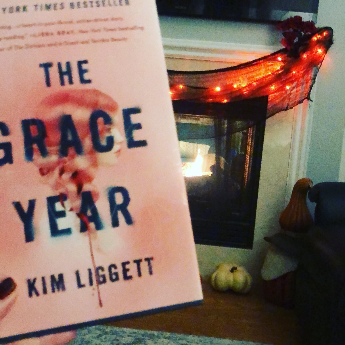 Mrs. Peregoy’s newest read, The Grace Year by @kim2legit2quit I can not put it down. I am 30 pages in and in love with tenacity and spunk of the main character, Tierney. #strongfemalecharacters #thegraceyear