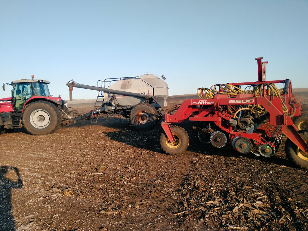 VARIABLE x 3
📍Vela-Tandil. El Mapuche SRL
- Variable densidad de girasol
- Variable fósforo en la línea
- Variable urea incorporada entre surco