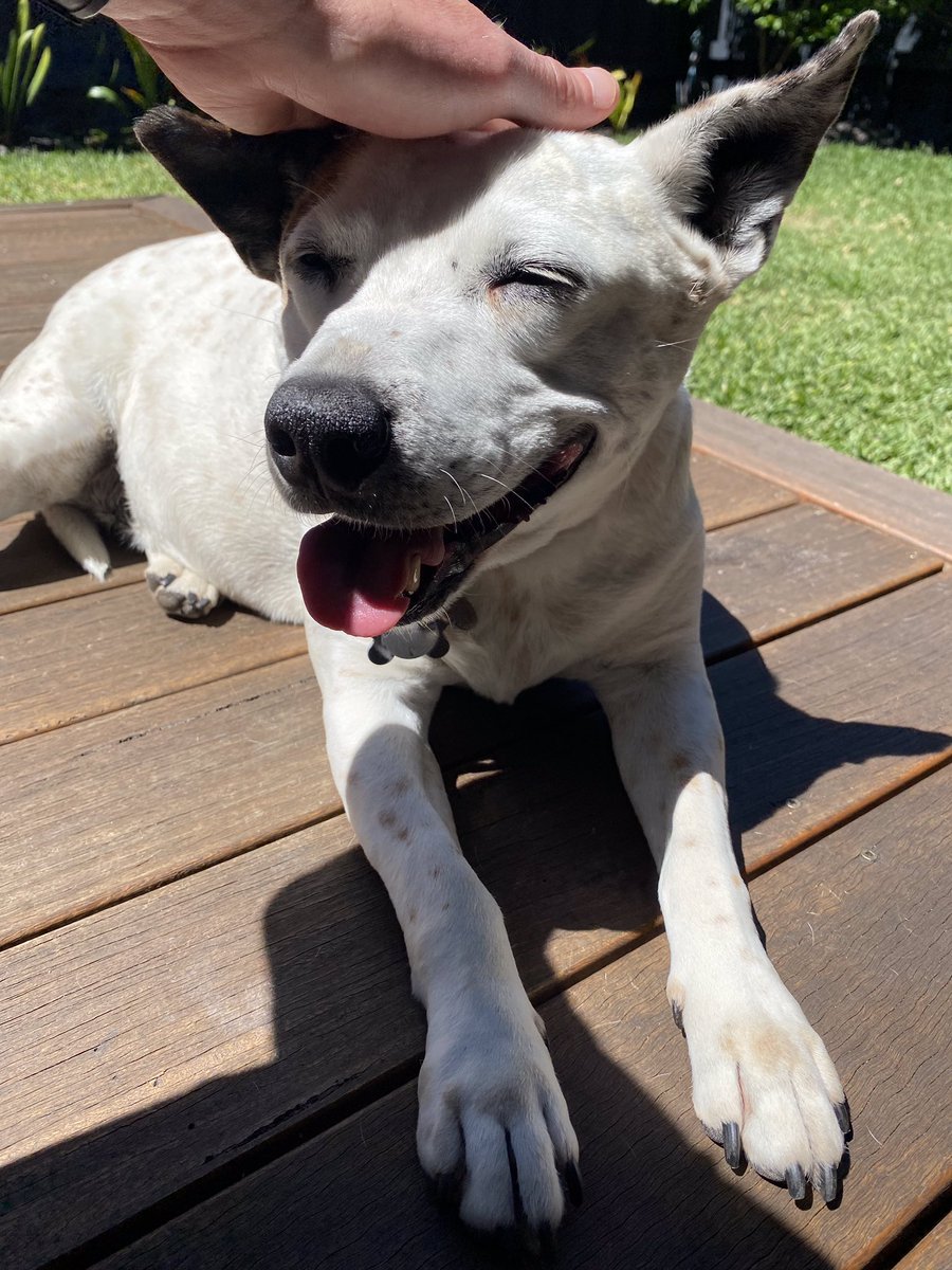 Nicole Williams tweet media