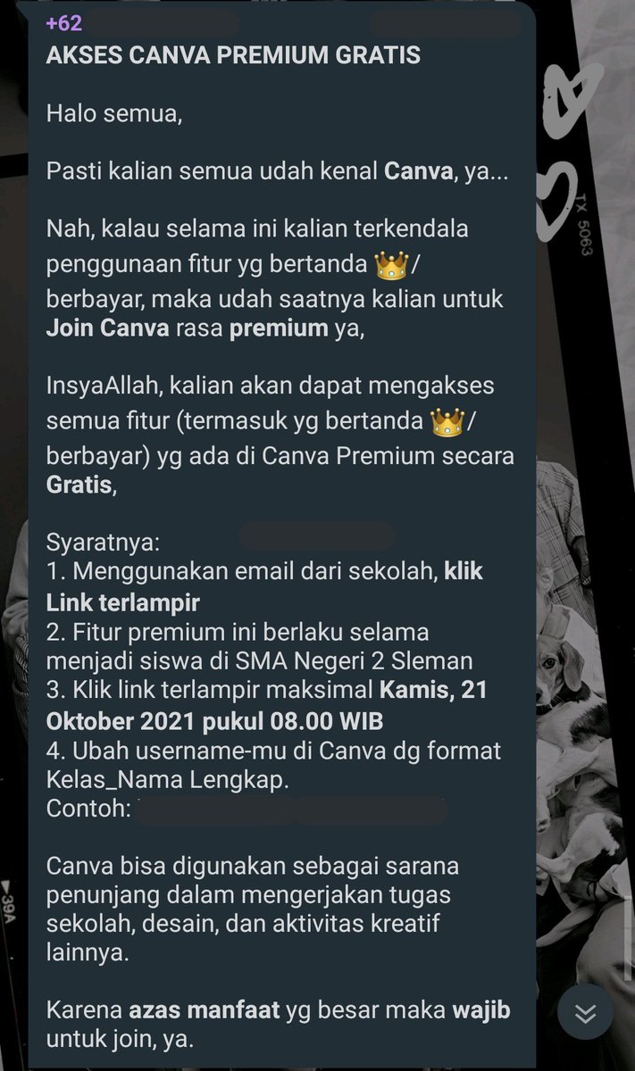 schfess's tweet image. sch! kaget banget tiba-tiba dapet info kaya gini😭👍🏻