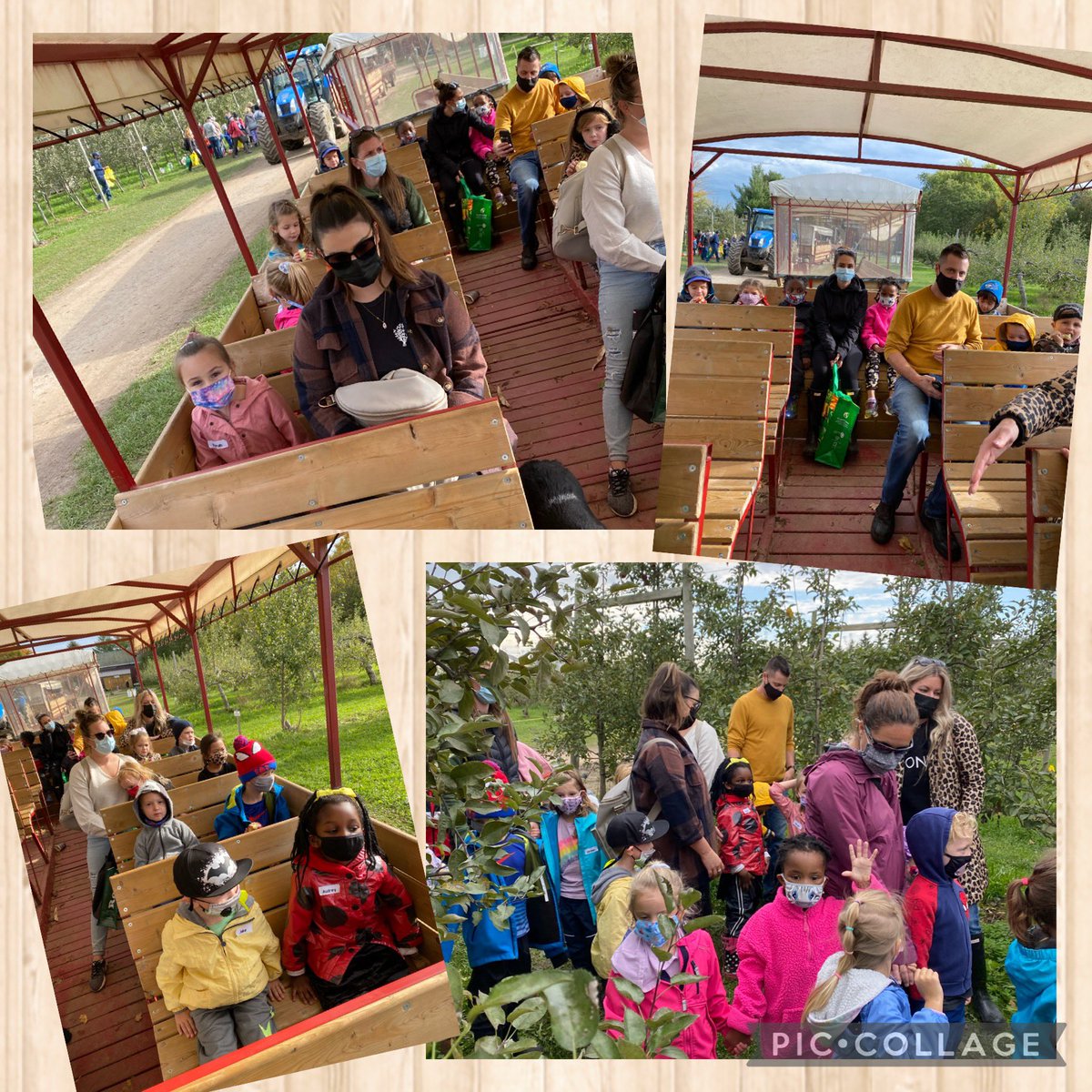 MissRibeiro5's tweet photo. We had such a fun filled day of learning and exploration at @BrantwoodFarm. The kindergarten classes learned about farm animals, corn, apples, pumpkins and so much more! What a wonderful experience. @shcsparis #Kindergarten #Autumn #brantwoodfarms #learningthroughexploration https://t.co/3WQWO19p2P