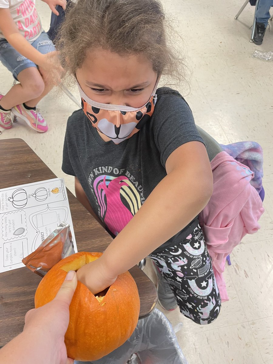 Jessica Hill (@wellskinders) on Twitter photo Our pumpkin investigation was a blast!Ss were surprised to see the pumpkin float and many were disgusted by the texture when they reached into grab some seeds! “Yucky, gross, and slimy” were a few of the adjectives I heard 🤣 <a href="/CCWellsElem/">C.C. Wells Elementary</a> 🎃🎃🎃 Our pumpkin investigation was a blast!Ss were surprised to see the pumpkin float and many were disgusted by the texture when they reached into grab some seeds! “Yucky, gross, and slimy” were a few of the adjectives I heard 🤣 <a href="/CCWellsElem/">C.C. Wells Elementary</a> 🎃🎃🎃