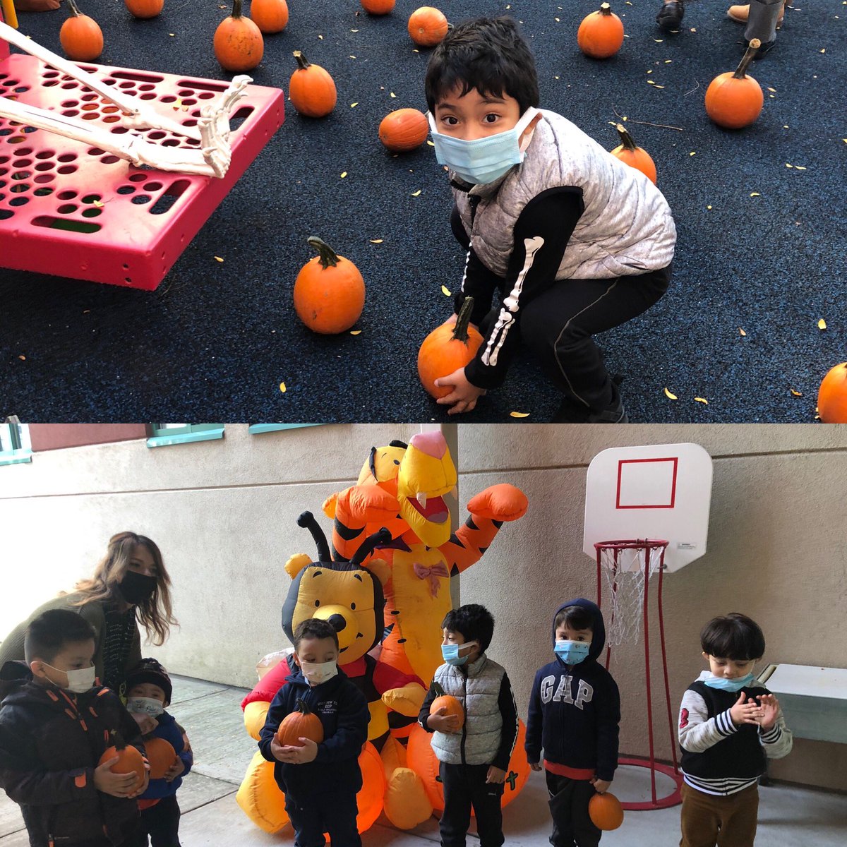 Ms. Damaris tweet media