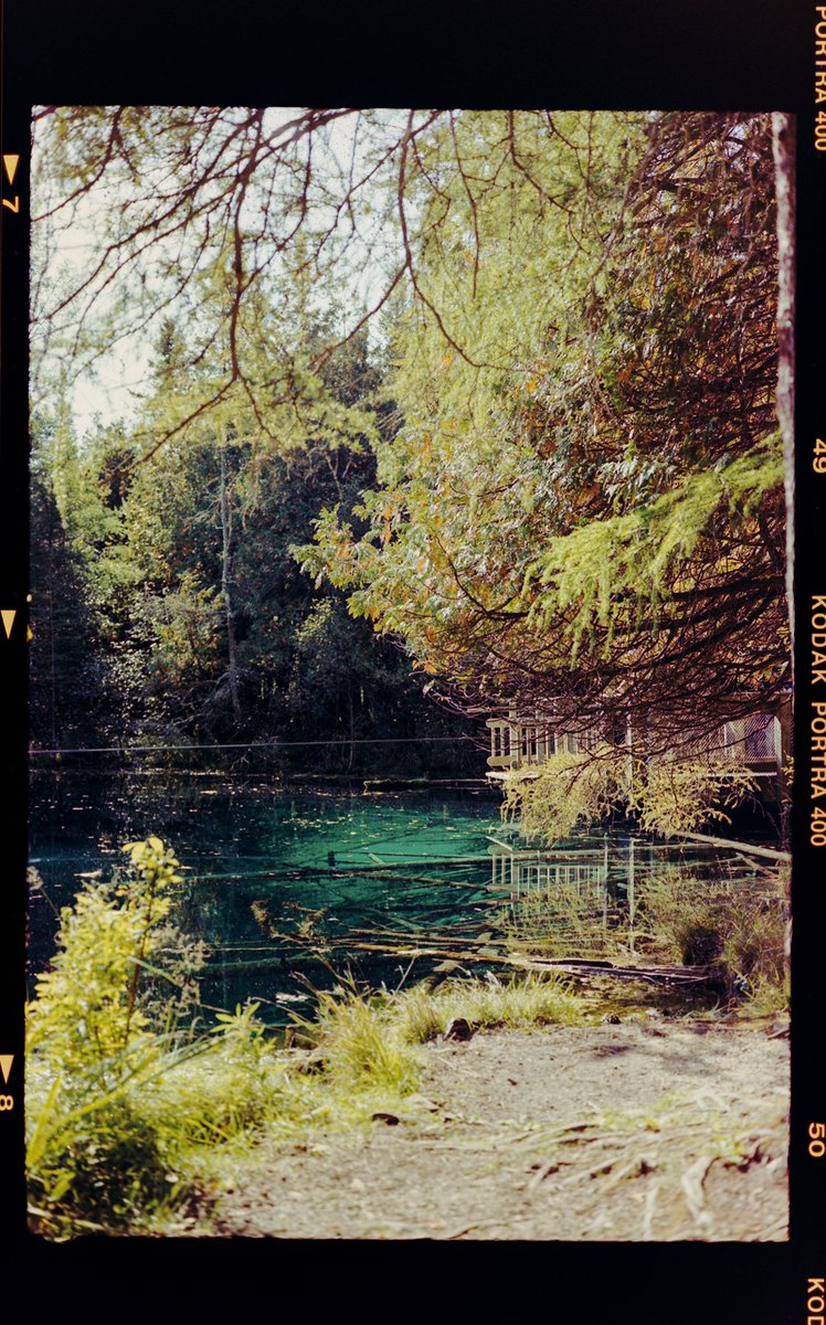 doms's tweet image. my first time developing and scanning film at home #120film