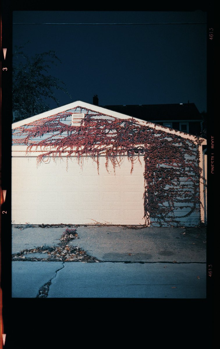 doms's tweet image. my first time developing and scanning film at home #120film