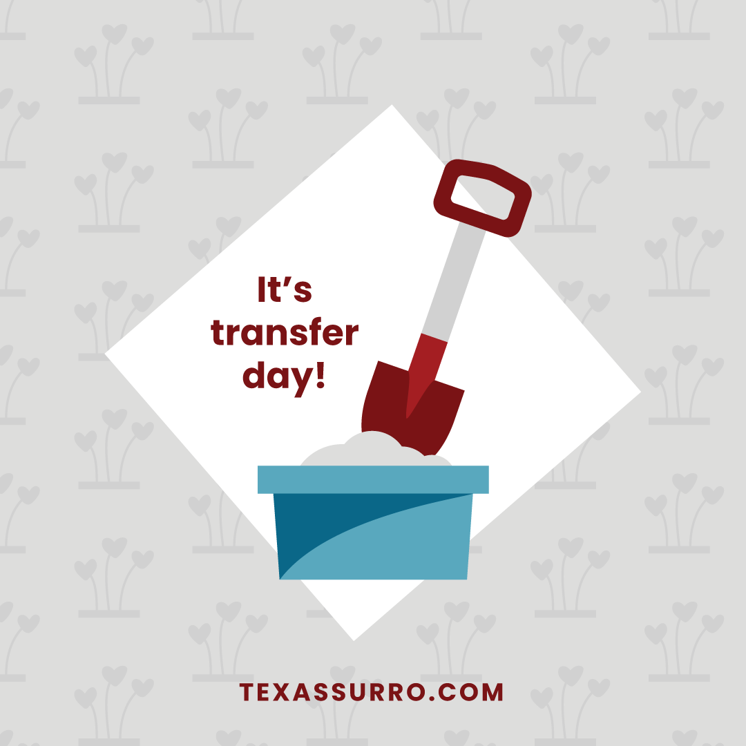 SurroTexas's tweet photo. Sending sticky thoughts and all the good luck vibes today to IPs W and M and GC K! #TransferDay #StickyThoughts #GrowingFamilies #Surrogacy #BrightFuturesFamilies #TexasSurrogacy https://t.co/EfeLQEfwS6