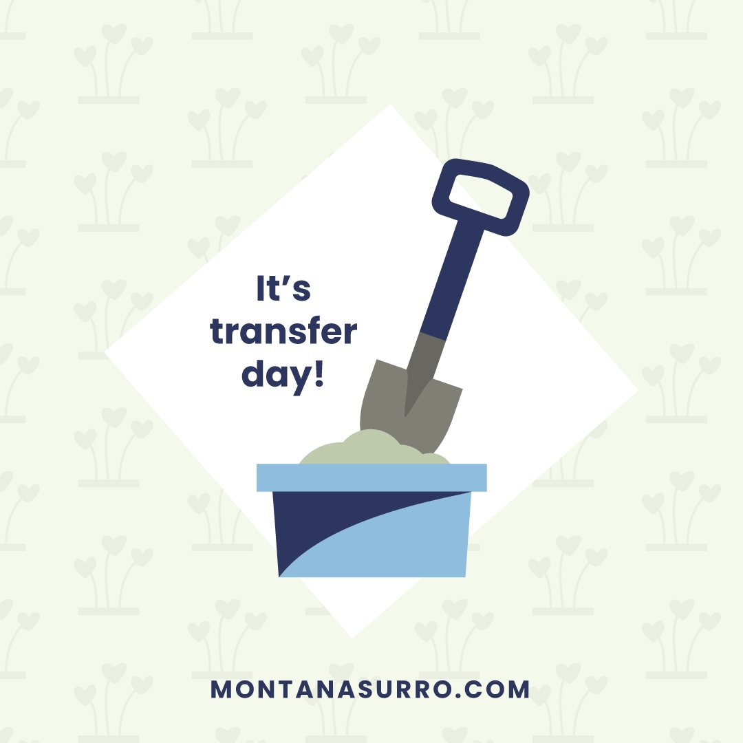 MTSurro's tweet photo. Sending sticky thoughts and all the good luck vibes today to IPs W and M and GC K! #TransferDay #StickyThoughts #GrowingFamilies #Surrogacy #BrightFuturesFamilies #MontanaSurrogacy https://t.co/EwZ4tGo7kP