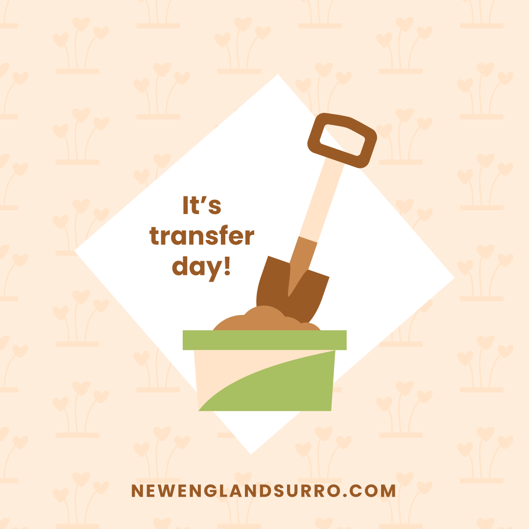 NESurrogacy's tweet photo. Sending sticky thoughts and all the good luck vibes today to IPs W and M and GC K! #TransferDay #StickyThoughts #GrowingFamilies #Surrogacy #BrightFuturesFamilies #NewEnglandSurrogacy https://t.co/amiYPz7vOC
