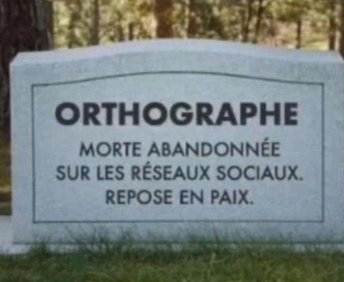 BossSeul's tweet photo. Sahbi ki yahder b français : https://t.co/cpsAnqnfb6
