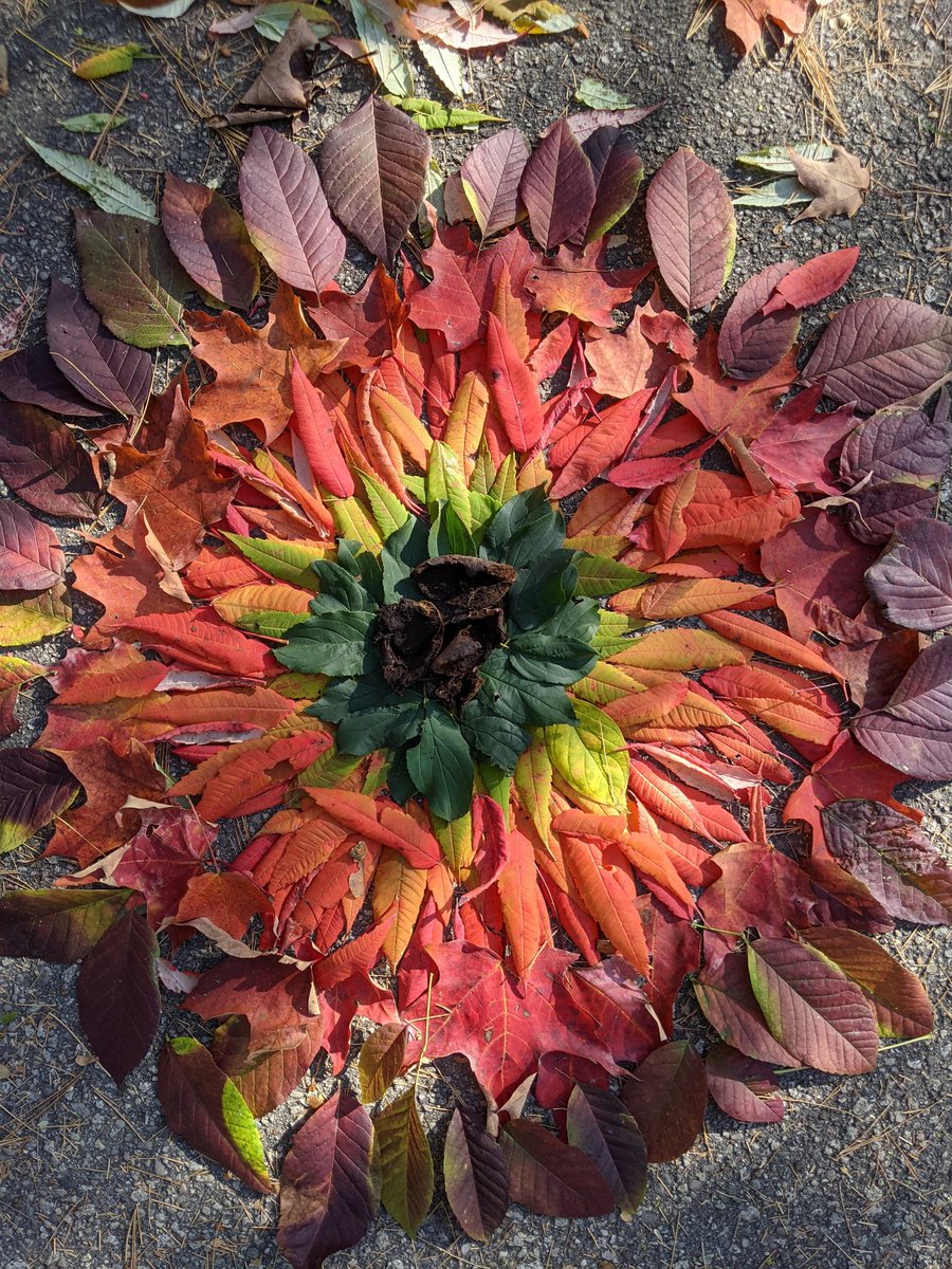 mrspclass's tweet photo. What a beautiful day to create some art! https://t.co/sbw8tIoODa