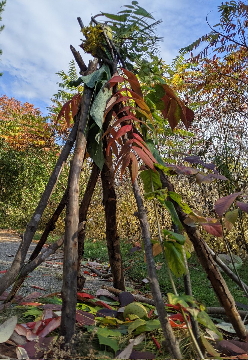 mrspclass's tweet photo. What a beautiful day to create some art! https://t.co/sbw8tIoODa