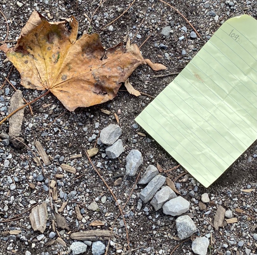 Using natural materials to represent numbers. Thank you for the idea @mrsphilp1! One student: “If I can’t find a big rock for the 1,000 block, can I use 10 leaves?” YES!#TakeMeOutsideDay #outdoorlearning @TDSB_BandBPS