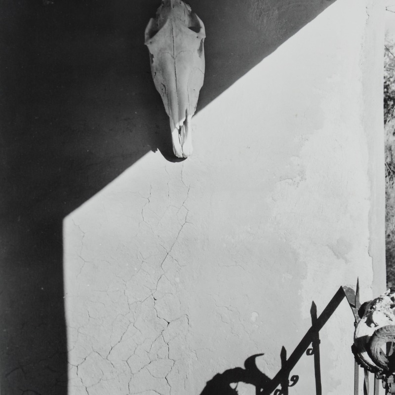 SDMA's tweet photo. Can you #identify the type of #skulls depicted in these #photographs of #GeorgiaOkeeffe's #GhostRanch house? ☠️🏜️
#Retweet or #Comment below for the answers ⬇️
#aesthetic #spookyseason #museumfromhome #museumathome #SDMAcollection #SanDiegoMuseumofArt #SDMA #art #dailyart