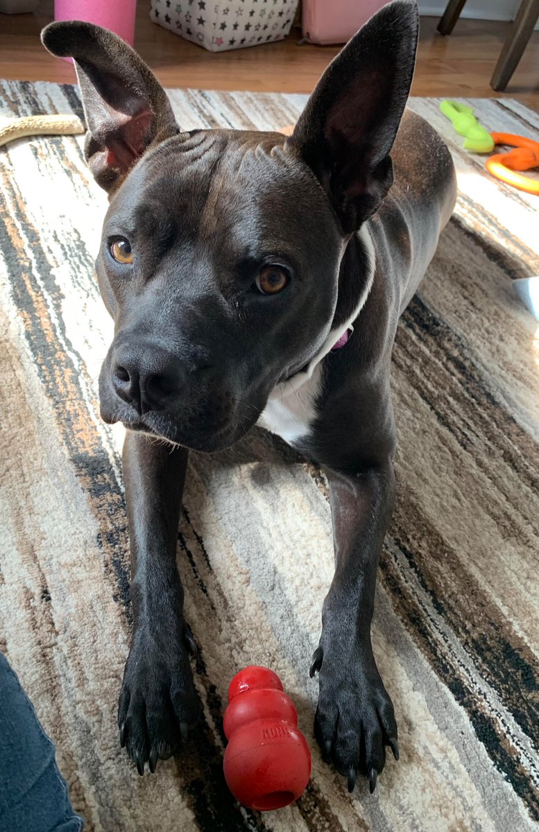 Erica. 🕶 tweet media