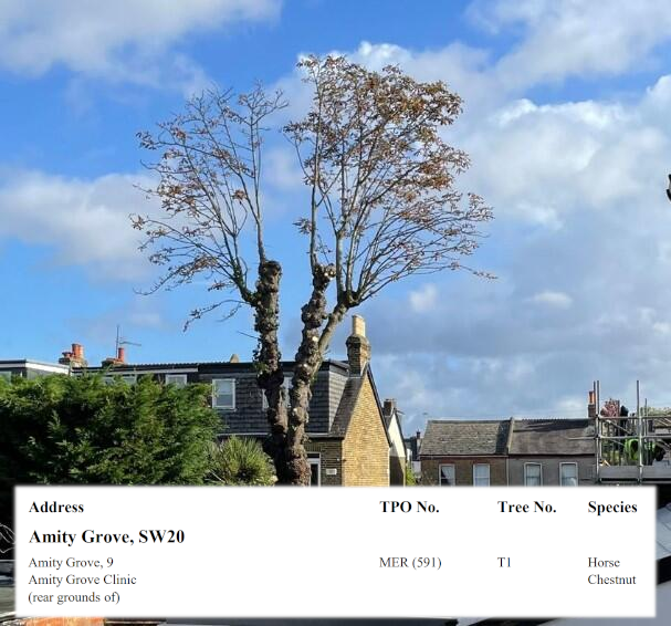 MarkGale's tweet photo. Does @FenniesUK Nursery think their "environmental awareness from an early age" &amp; involvement with @EcoSchools allow for damage to a tree with a long-standing TPO Tree Protection Order at their new #RaynesPark site? @campbellandcoa1 https://t.co/XhrY4nYCKi