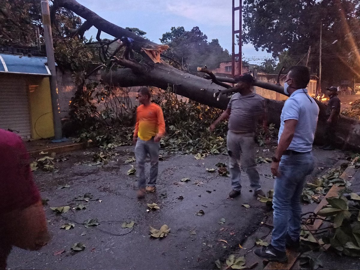 #AlMomento Nos Encontramos atendiendo la afectación generada por la caída de un árbol en la calle Yepez Tamayo Sector Niño Jesús, a consecuencia de las fuertes lluvias del día de hoy. Todos los equipos Desplegados, Protección Civil #MBI Corpoelec y cuadrillas de la Alcaldía.