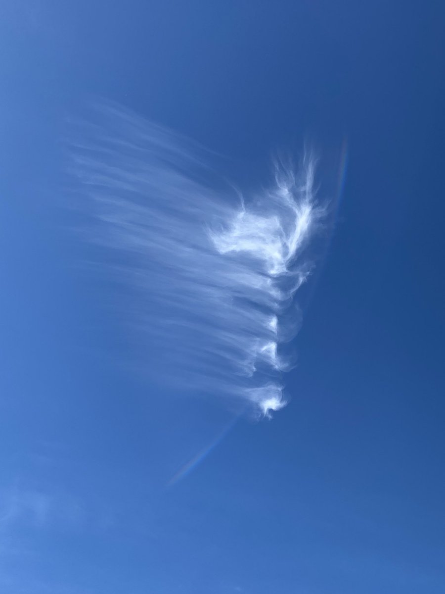 NeuroEdResearch's tweet photo. #neuron cloud  #NerdyByNature https://t.co/0qguZi2q5e