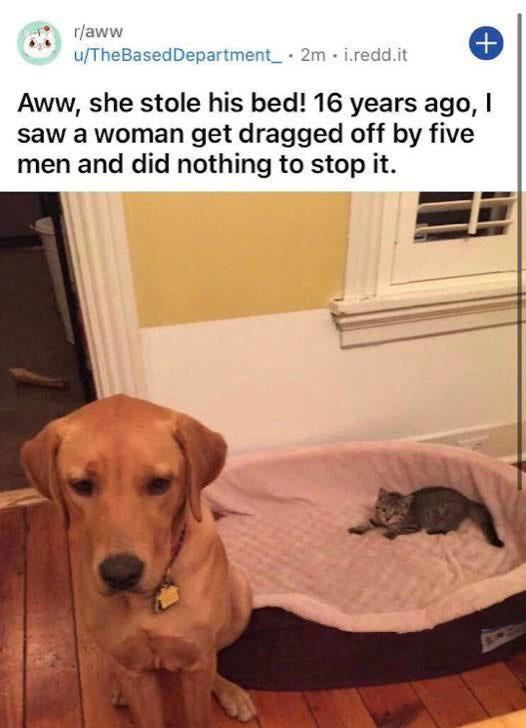 FeelFreeToSS's tweet image. 