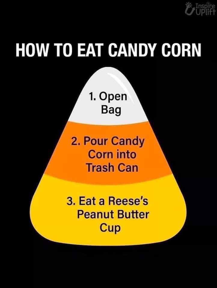 Shelby Shemanski tweet media