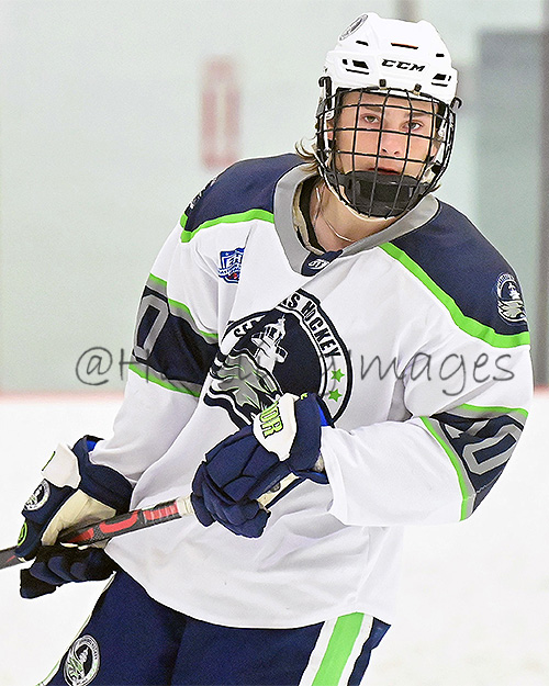 DanHickling's tweet photo. New pics of @Seahawks_HC (inc. North Tonawanda's own Kyle Lee) now up on their @eliteprospects pages ... also coming to select @_Neutral_Zone pages ... Check 'em out! @mhick1953 @EHL_Hockey #EHLShowcaseSeries #PathToCollege #EShow https://t.co/Pz2iRsanra