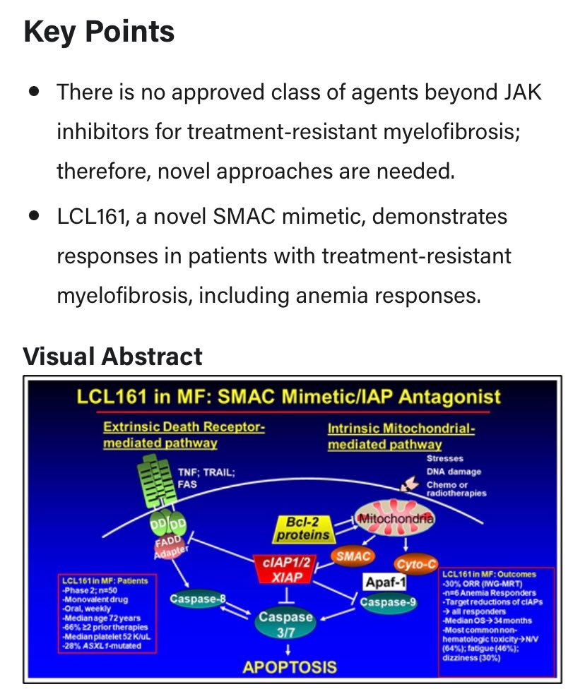 doctorpemm's tweet photo. Final results of a phase 2 clinical trial of #LCL161, an oral #SMACmimetic for patients with myelofibrosis | Blood Advances | American Society of Hematology https://t.co/1iNRb9v76J @BloodAdvances @doctorpemm #MPNSM @ASH_hematology https://t.co/jaiCrlz32G