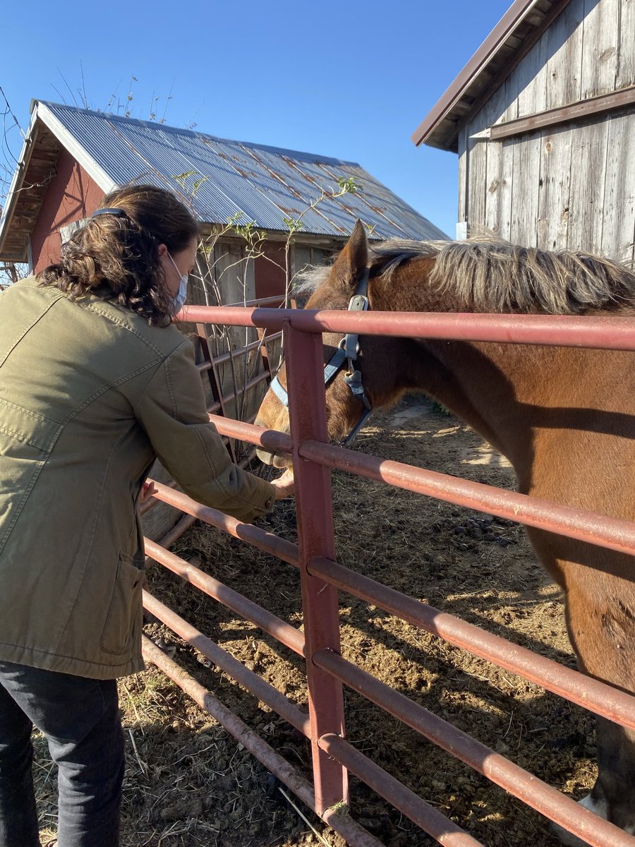 Marisa_N19's tweet photo. And yes, 95% of those photos include animals across Iowa in the #GreenfieldofDreams. https://t.co/CUiTBTknnY