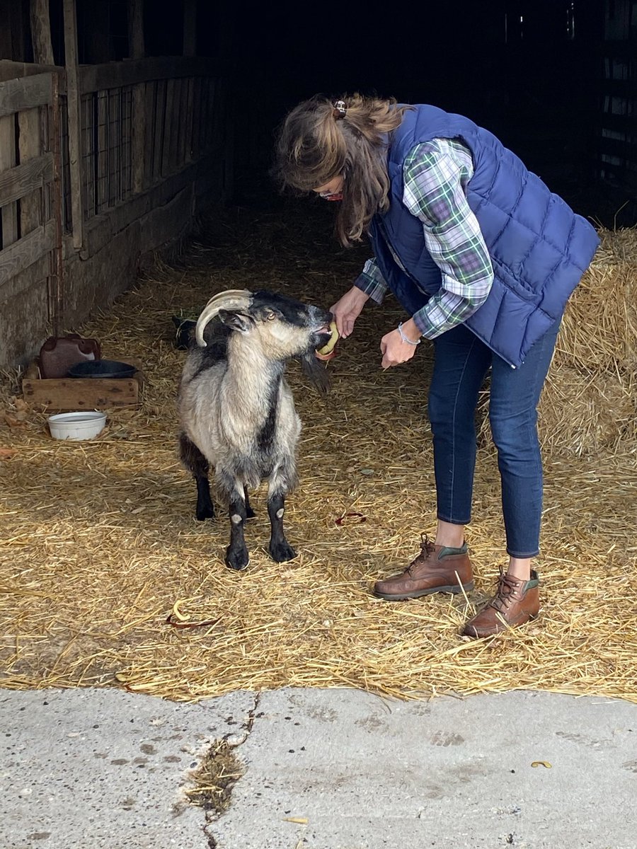 Marisa_N19's tweet photo. And yes, 95% of those photos include animals across Iowa in the #GreenfieldofDreams. https://t.co/CUiTBTknnY