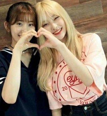 raredreamnote's tweet image. 