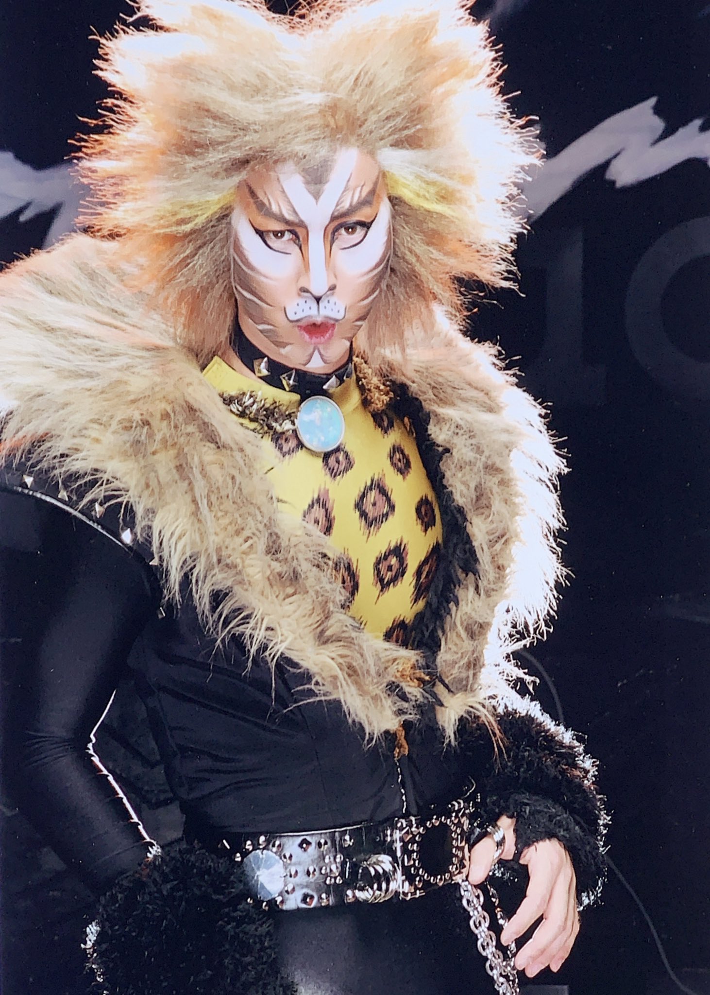劇団四季　キャッツ　ラム・タム・タガー　フィギュア キャッツ ラムタムタガー