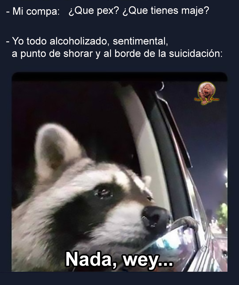 🤘🏻🥴

facebook.com/photo/?fbid=28…