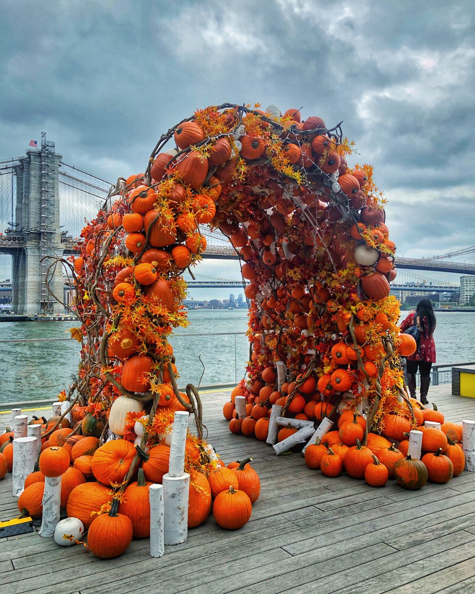 topviewnyc's tweet photo. The new Pumpkin Arch at @theseaportnyc 😍 Hop off at Stop 10 or 11 on the Downtown Tour, walk to Pier 36 for a Liberty Cruise and snap a shot on your way back! 🎃 Buy tickets now: https://t.co/1NDecRvcl5

#TopViewNYC #SeaPortDistrict #PumpkinArch #Halloween https://t.co/DYIFXwZX2N