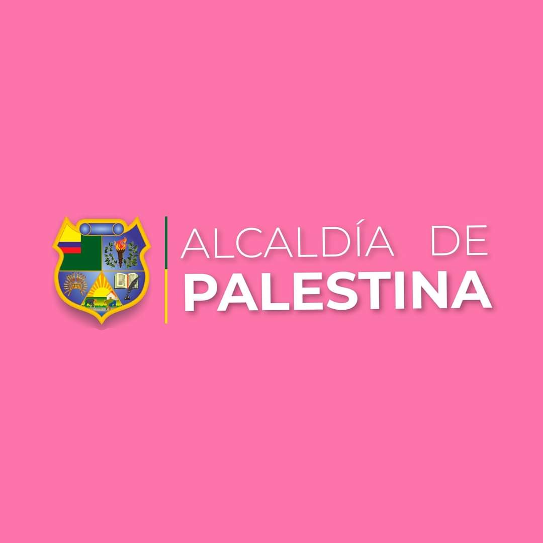 GadPalestina's tweet photo. #NuevaFotoDePerfil https://t.co/8tAOqQX4iV