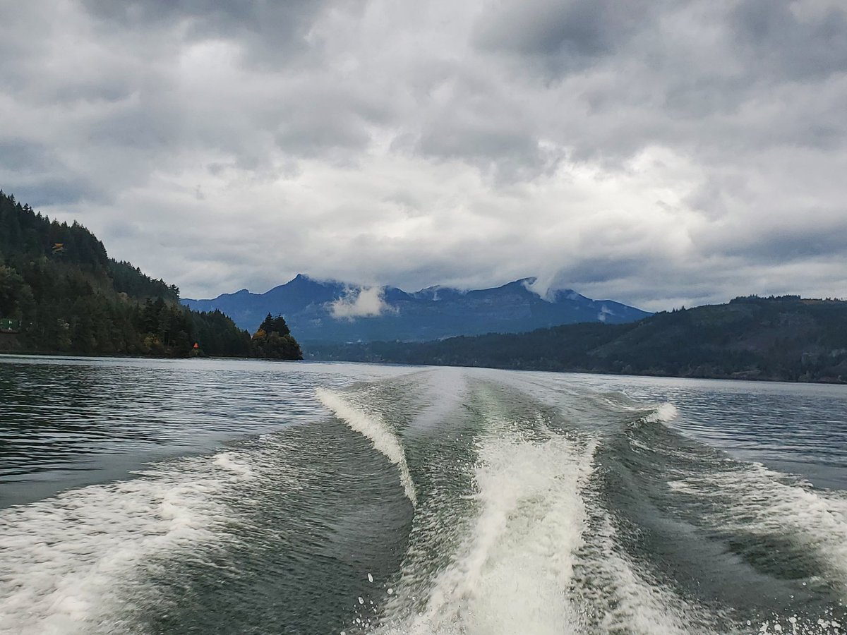 Heironisaurus's tweet photo. This morning was the perfect time for a boat ride in the Columbia Gorge! The trees are changing colors and the wind was calm. I guess what I'm saying is that it's a very scenic National Scenic Area... https://t.co/eU5Js6z5r9